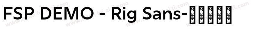 FSP DEMO - Rig Sans字体转换